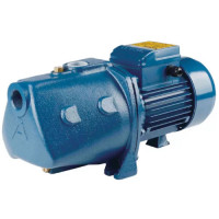 Marquis MJm10M Gold 1HP Self Priming Jet Pump