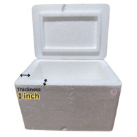 Insulated Thermocol Vaccine Carrier Box