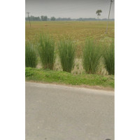 155 Sotok Land Sale Mithapukur Rangpur