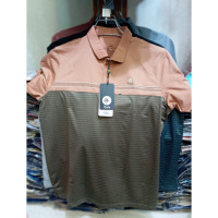 Bindu Polo T-Shirt with Attractive Logo