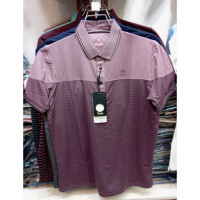 Bindu Fashionable Polo T-Shirt